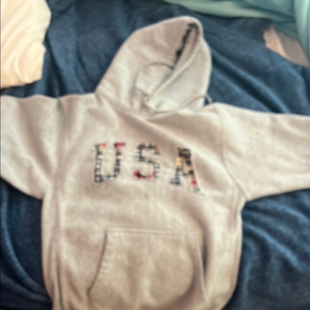 Gray USA Kids Hoodie